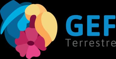 Logo GEF Terrestre